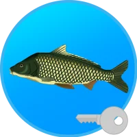 Реальная Рыбалка (ключ)